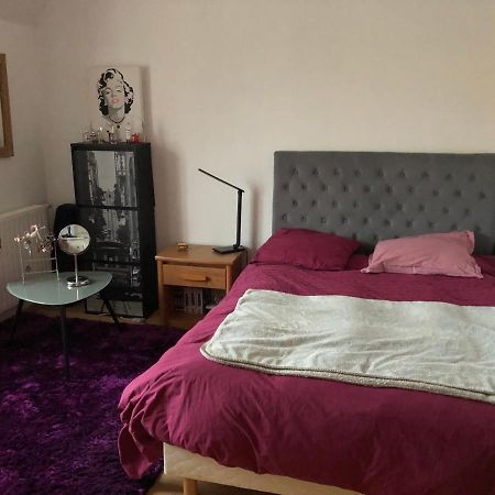 3 Chambres Chez Particulier Pour Les 24H Du Mans Le Mans Zewnętrze zdjęcie